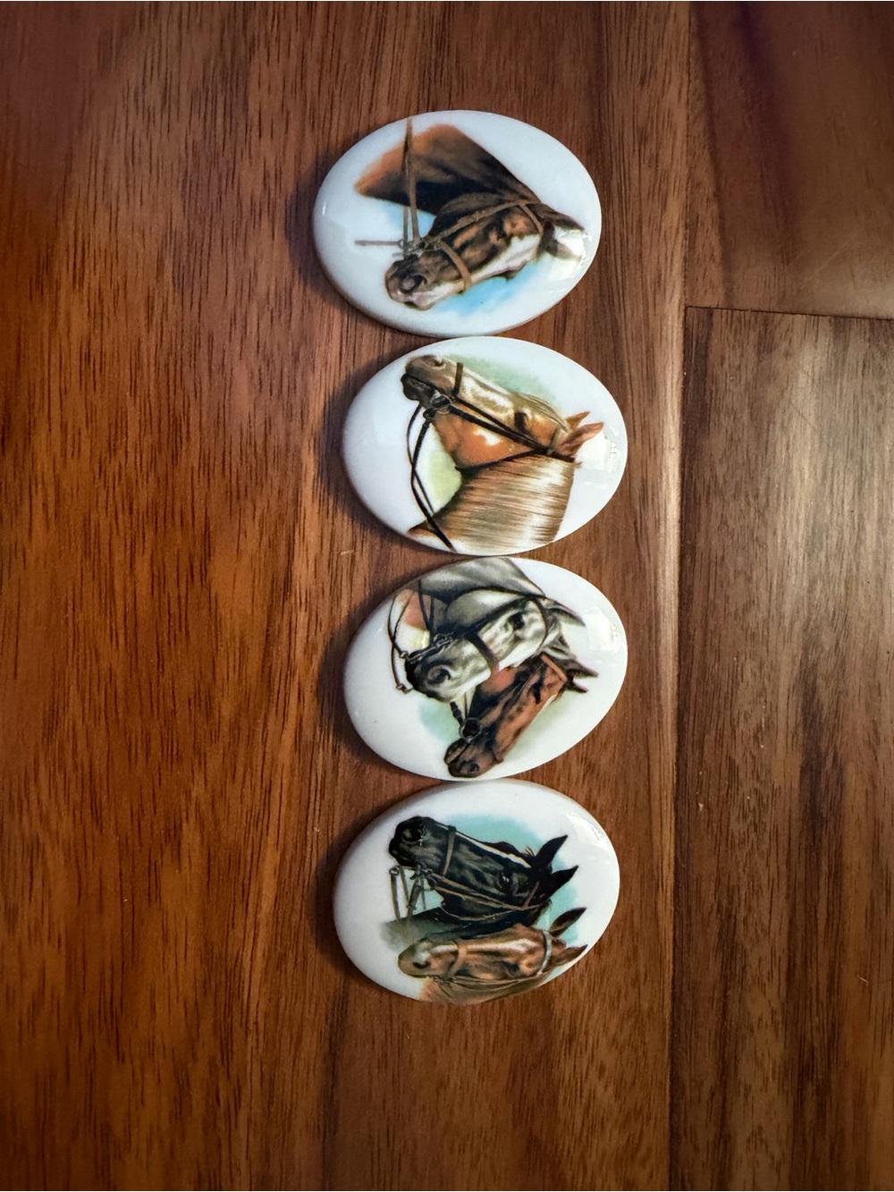 Set of 4 Horse Portrait Ceramic Buttons - White Background